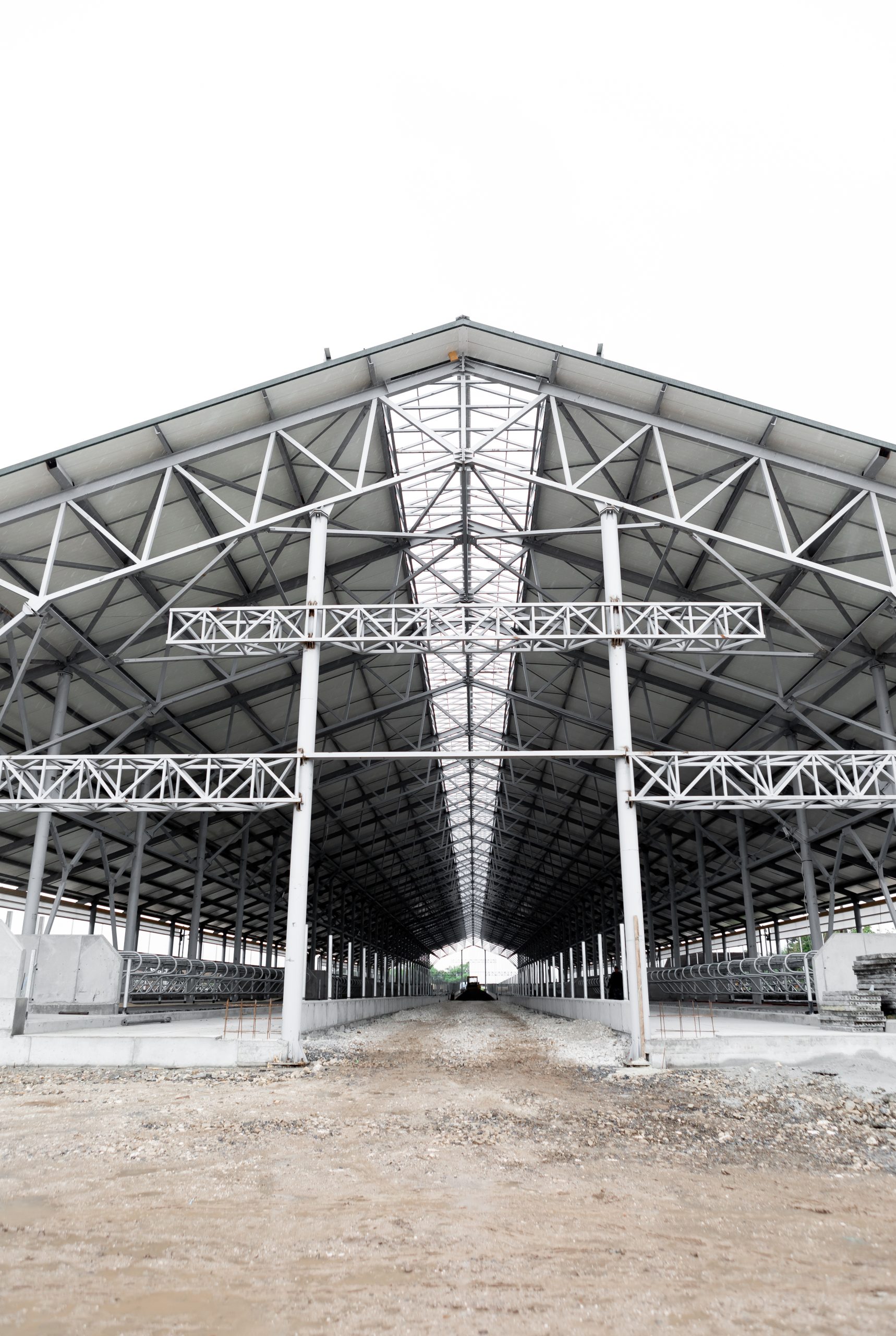 Dairy farm in Dolishne — photo 3